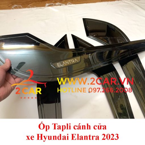 Ốp Tapli, màng loa cánh cửa Xe Elantra 2022, 2023, mẫu Titan cao cấp, sang trọng - Hình ảnh 4